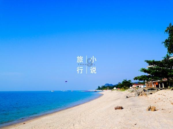 碰然心动